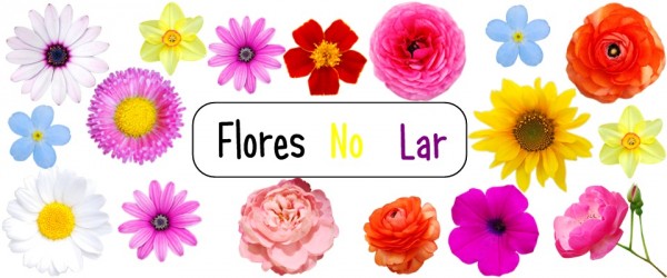Flores no Lar